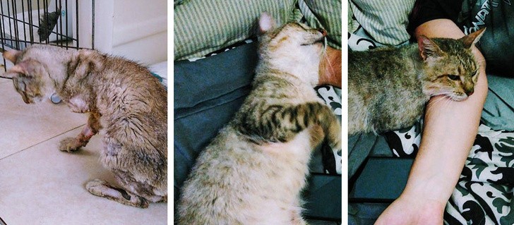 Ảnh: BrightSide Ảnh: BrightSide