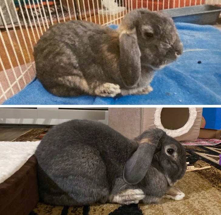 Ảnh: BrightSide Ảnh: BrightSide