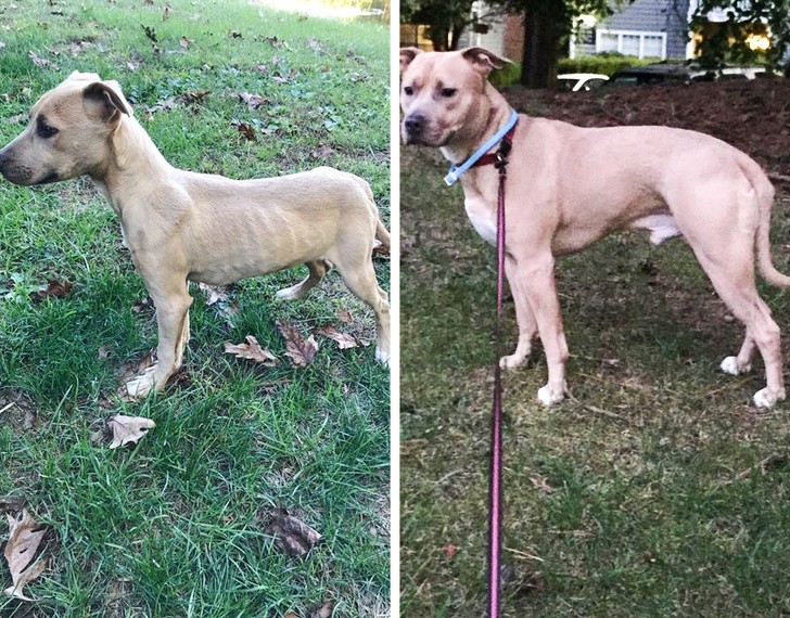 Ảnh: BrightSide Ảnh: BrightSide