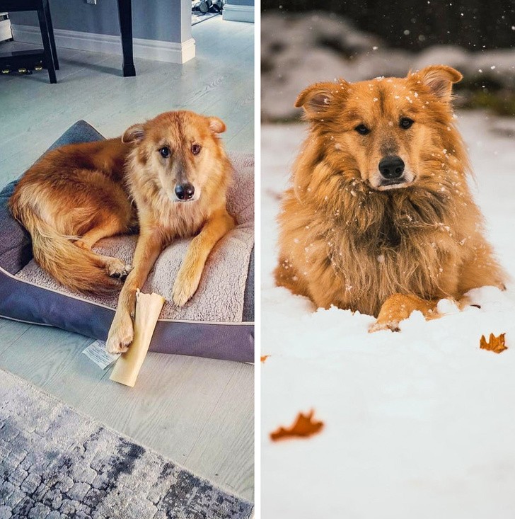 Ảnh: BrightSide Ảnh: BrightSide