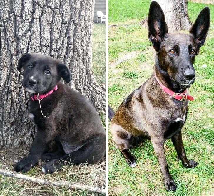 Ảnh: BrightSide Ảnh: BrightSide