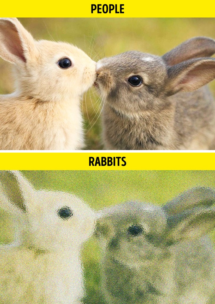 Ảnh: BrightSide Ảnh: BrightSide