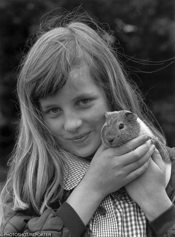 Ảnh: BrightSide Ảnh: BrightSide