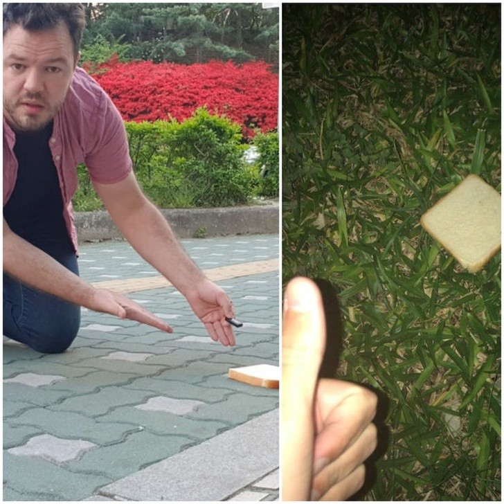 Ảnh: BrightSide Ảnh: BrightSide