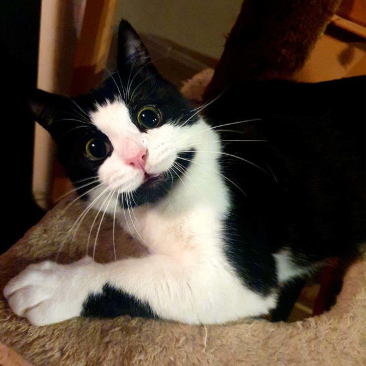 Ảnh: BrightSide Ảnh: BrightSide