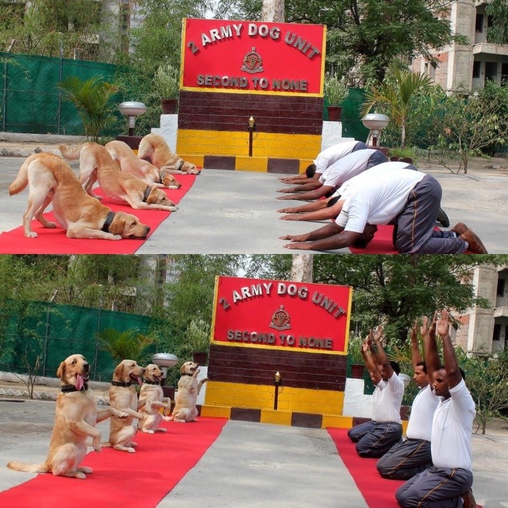 Ảnh: BrightSide Ảnh: BrightSide