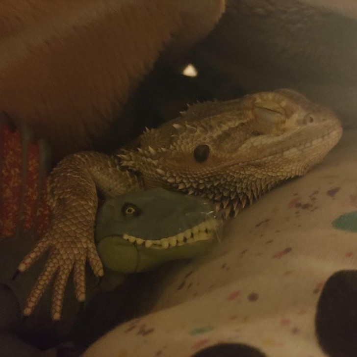 Ảnh: BrightSide Ảnh: BrightSide