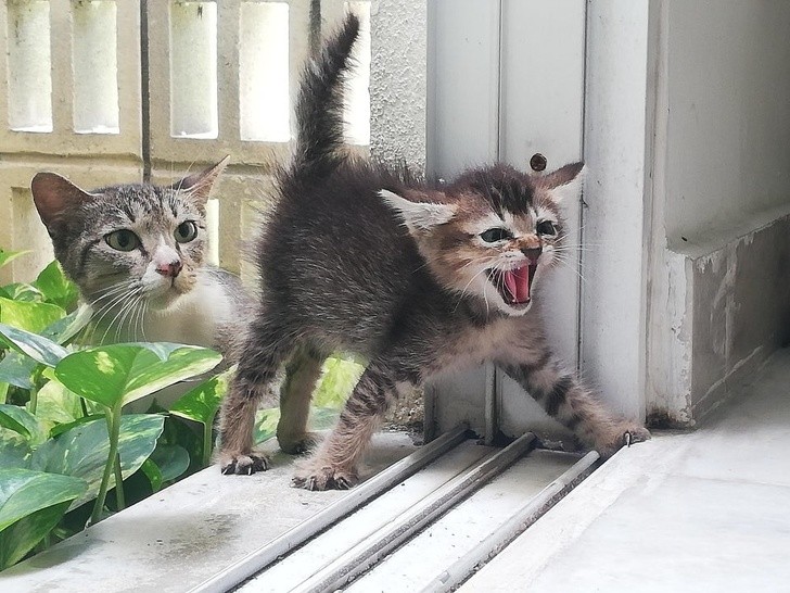 Ảnh: BrightSide Ảnh: BrightSide