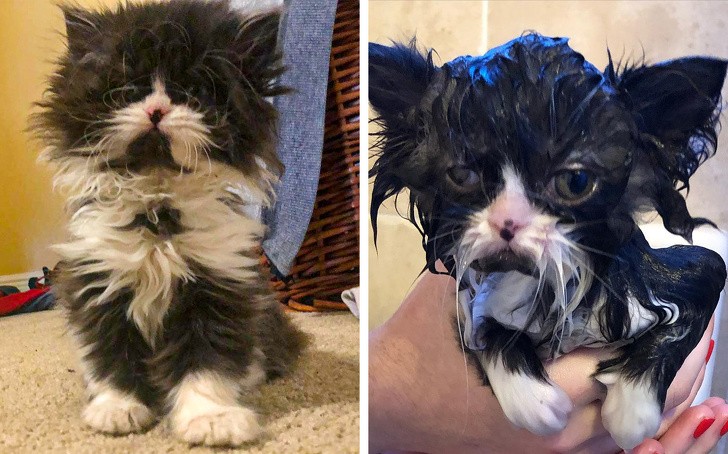 Ảnh: BrightSide Ảnh: BrightSide