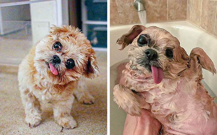 Ảnh: BrightSide Ảnh: BrightSide