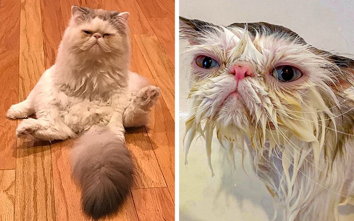 Ảnh: BrightSide Ảnh: BrightSide