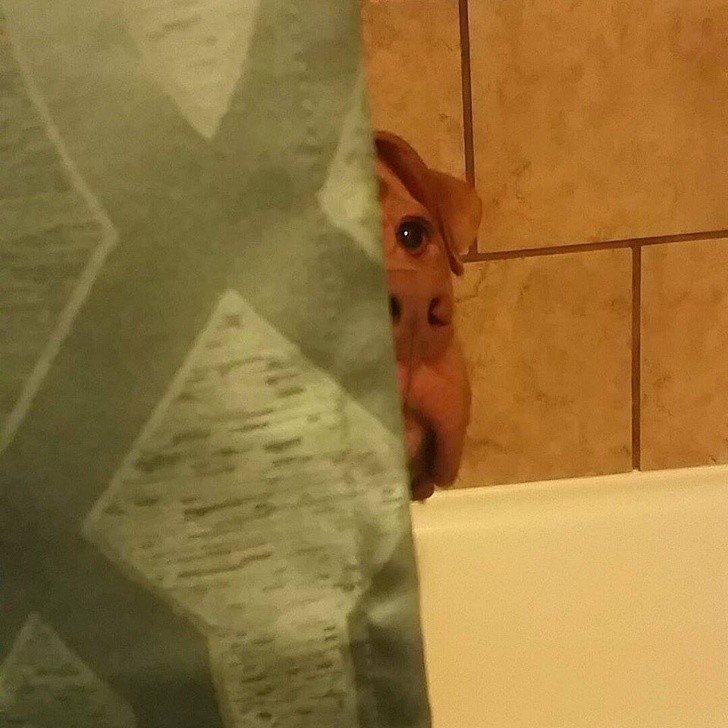 Ảnh: BrightSide Ảnh: BrightSide