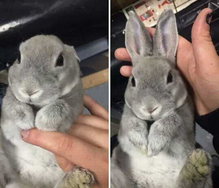 Ảnh: BrightSide Ảnh: BrightSide