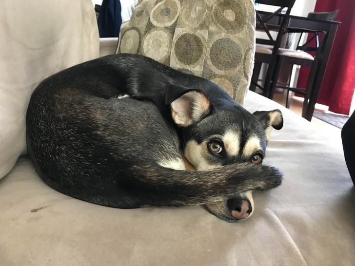 Ảnh: BrightSide Ảnh: BrightSide