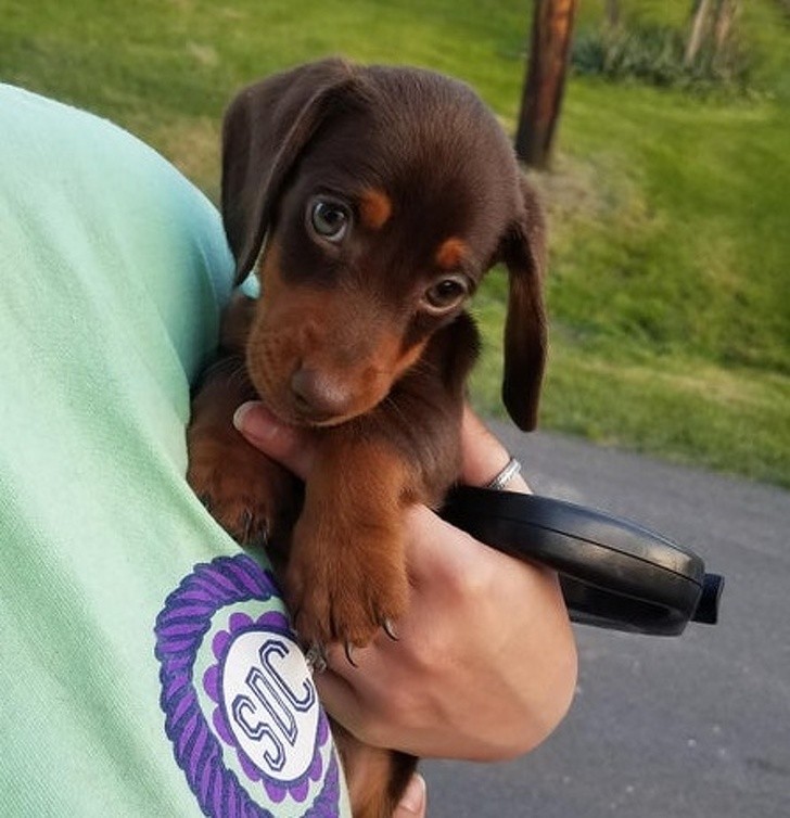 Ảnh: BrightSide Ảnh: BrightSide