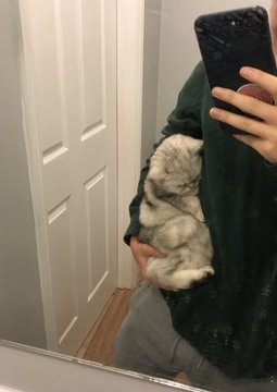 Ảnh: BrightSide Ảnh: BrightSide