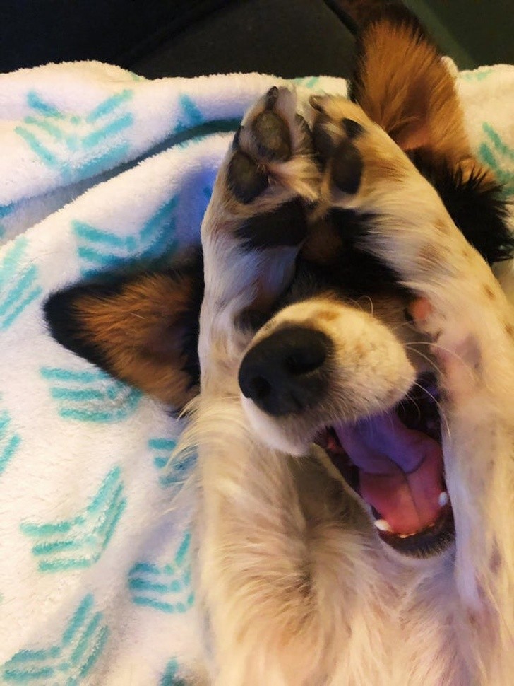 Ảnh: BrightSide Ảnh: BrightSide