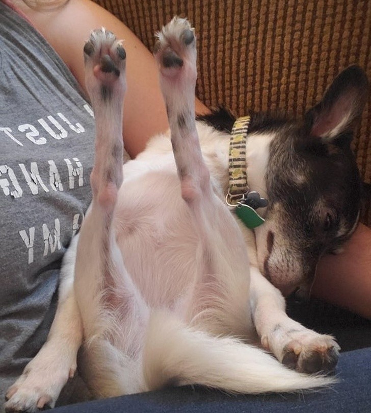 Ảnh: BrightSide Ảnh: BrightSide