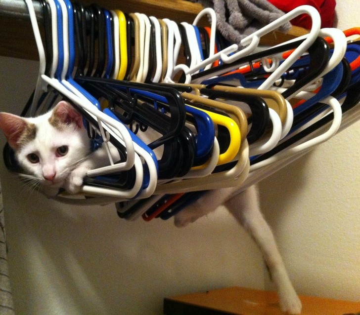 Ảnh: BrightSide Ảnh: BrightSide