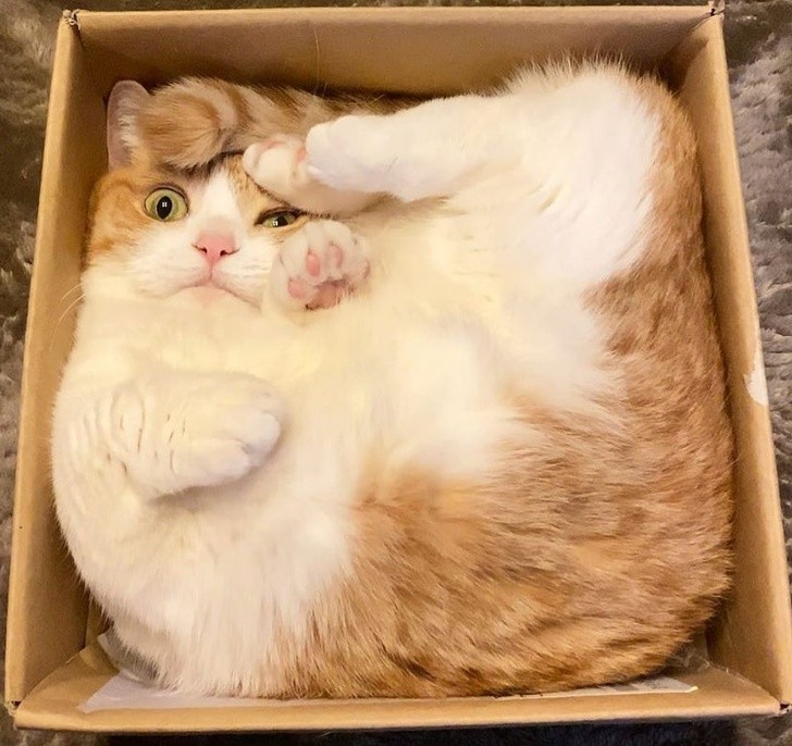 Ảnh: BrightSide Ảnh: BrightSide