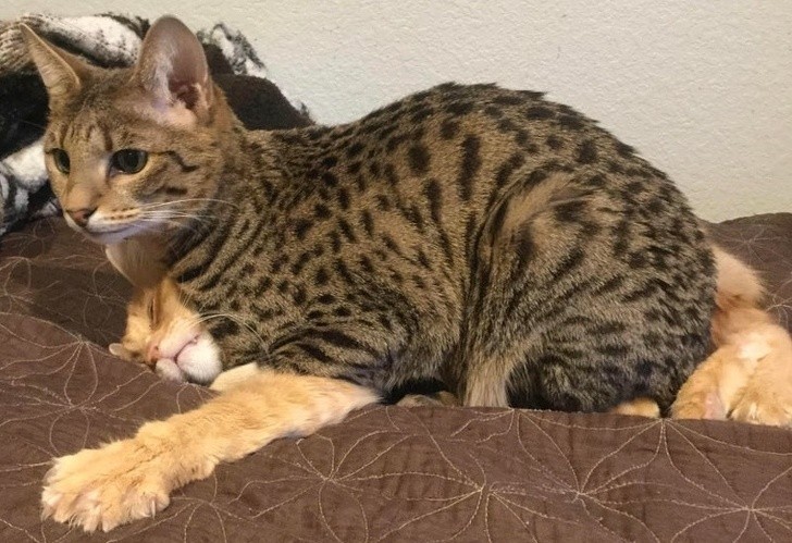 Ảnh: BrightSide Ảnh: BrightSide