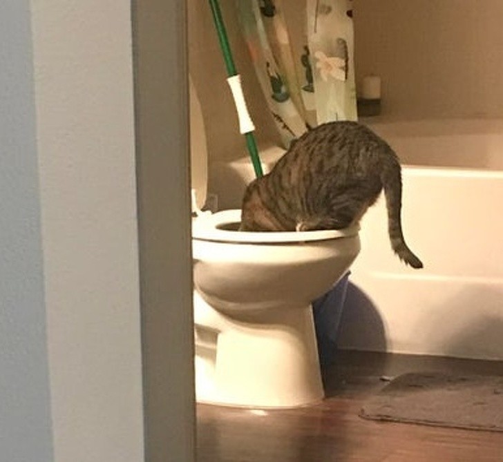 Ảnh: BrightSide Ảnh: BrightSide