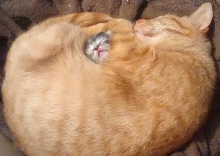 Ảnh: BrightSide Ảnh: BrightSide