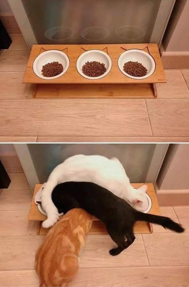 Ảnh: BrightSide Ảnh: BrightSide