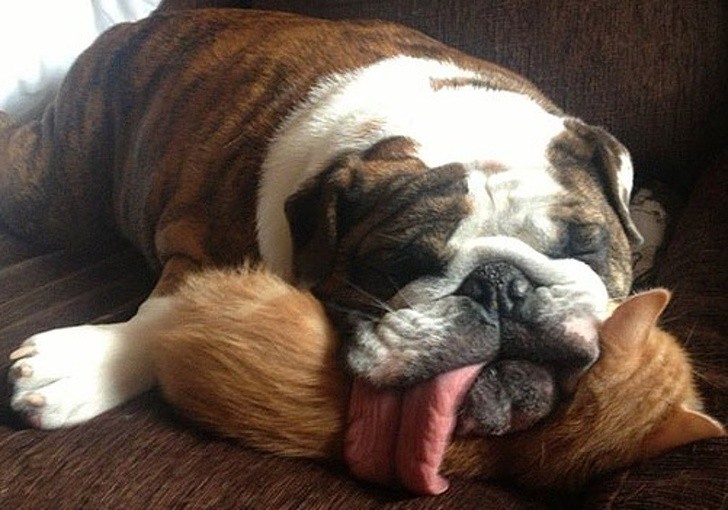 Ảnh: BrightSide Ảnh: BrightSide