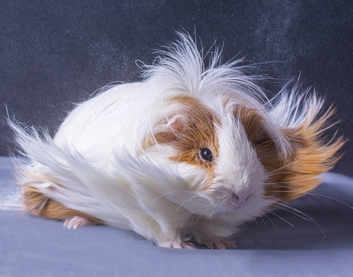 Ảnh: BrightSide Ảnh: BrightSide