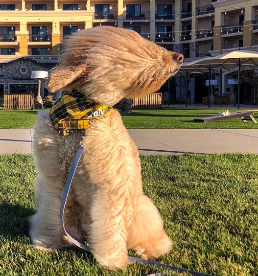 Ảnh: BrightSide Ảnh: BrightSide