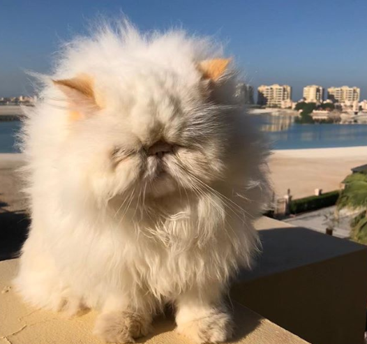 Ảnh: BrightSide Ảnh: BrightSide