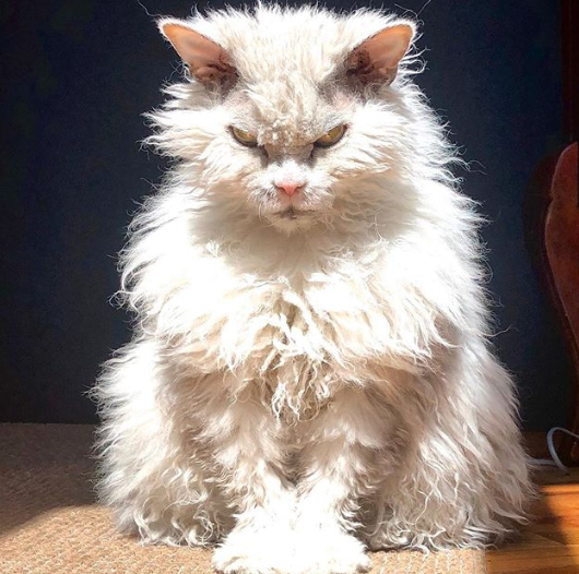 Ảnh: BrightSide Ảnh: BrightSide