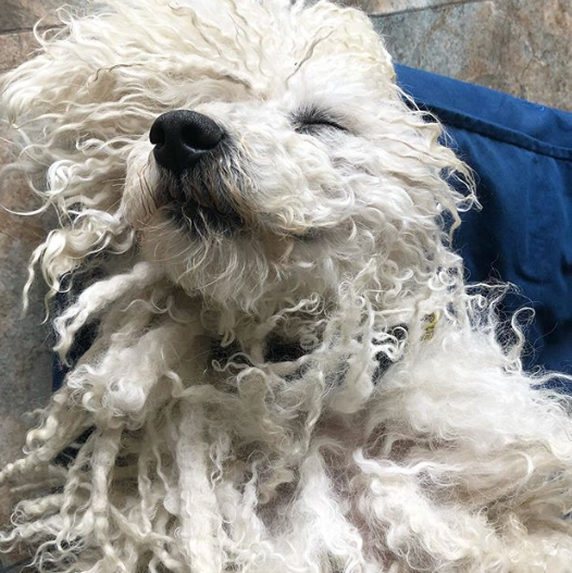 Ảnh: BrightSide Ảnh: BrightSide