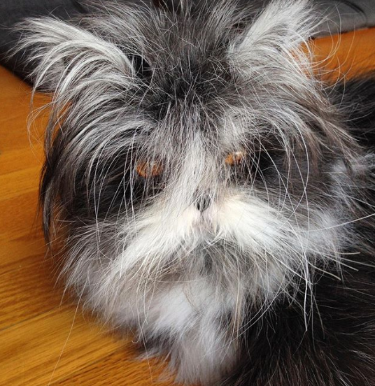 Ảnh: BrightSide Ảnh: BrightSide