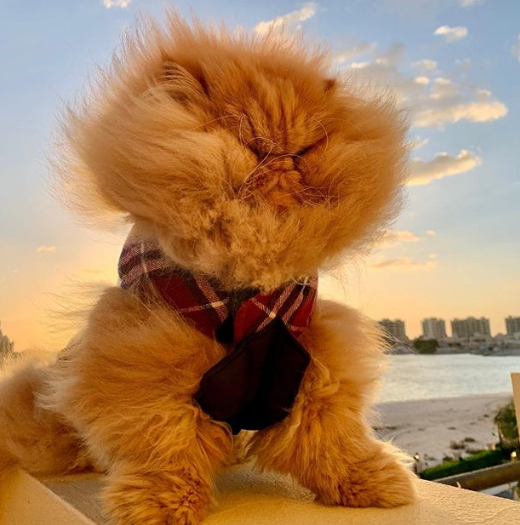 Ảnh: BrightSide Ảnh: BrightSide