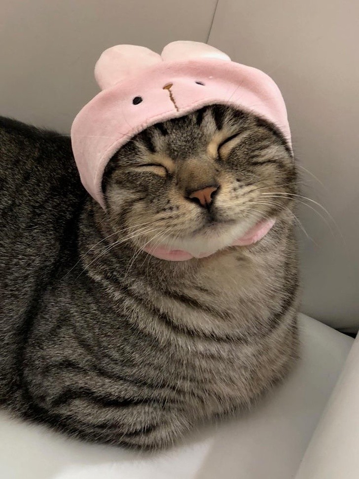 Ảnh:BrightSide Ảnh:BrightSide