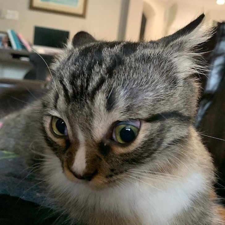 Ảnh:BrightSide Ảnh:BrightSide