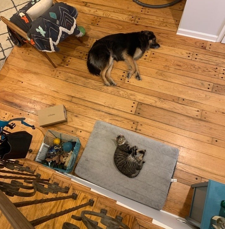 Ảnh:BrightSide Ảnh:BrightSide