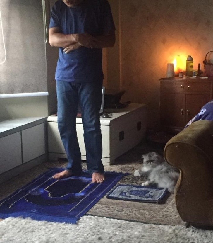 Ảnh:BrightSide Ảnh:BrightSide