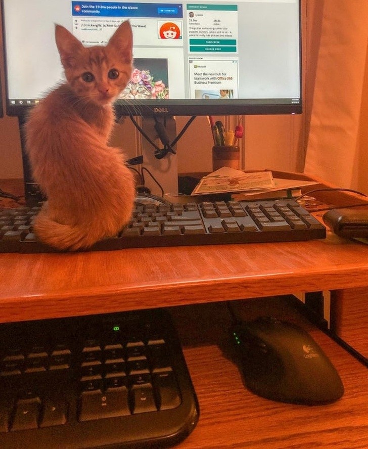 Ảnh:BrightSide Ảnh:BrightSide