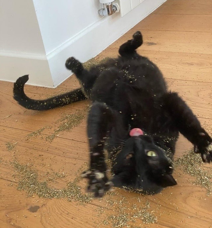 Ảnh:BrightSide Ảnh:BrightSide