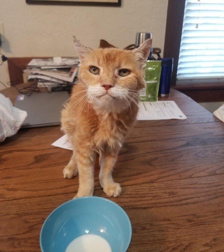 Ảnh:BrightSide Ảnh:BrightSide