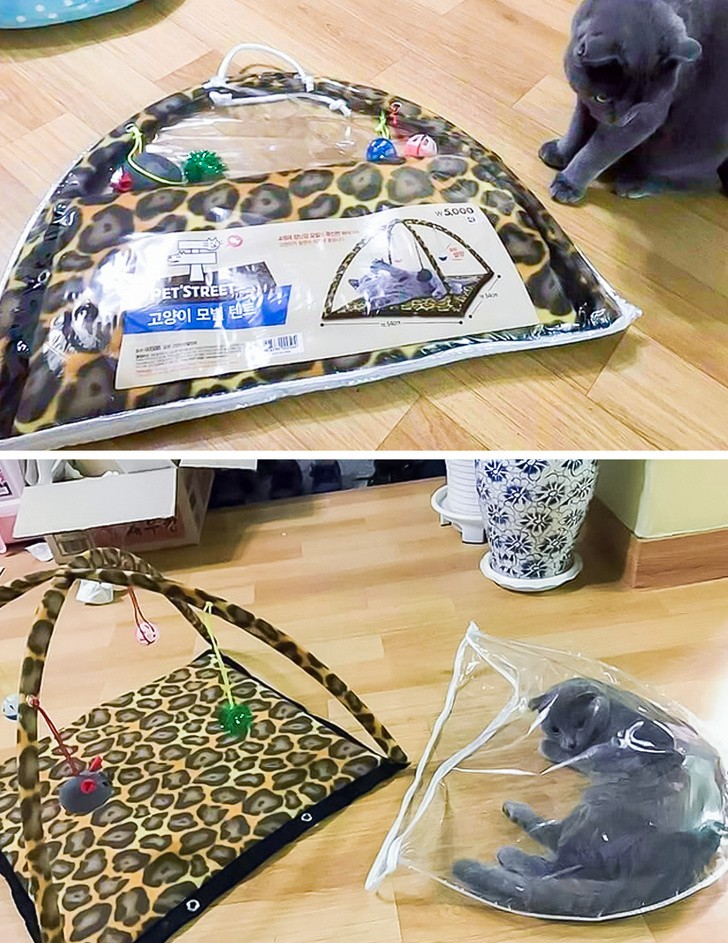 Ảnh:BrightSide Ảnh:BrightSide