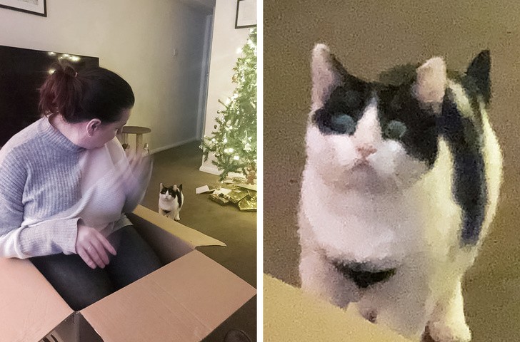 Ảnh:BrightSide Ảnh:BrightSide