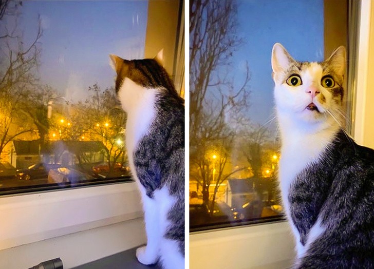 Ảnh:BrightSide Ảnh:BrightSide