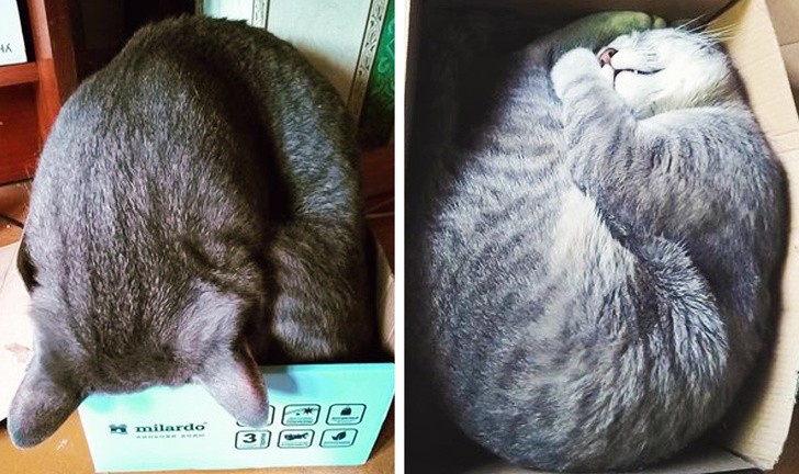 Ảnh:BrightSide Ảnh:BrightSide