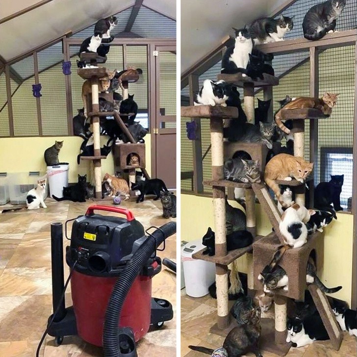 Ảnh:BrightSide Ảnh:BrightSide