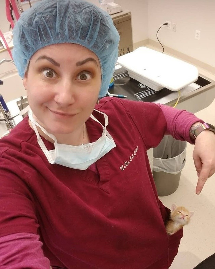 Ảnh:BrightSide Ảnh:BrightSide