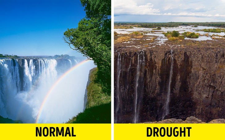 Ảnh: BrightSide Ảnh: BrightSide